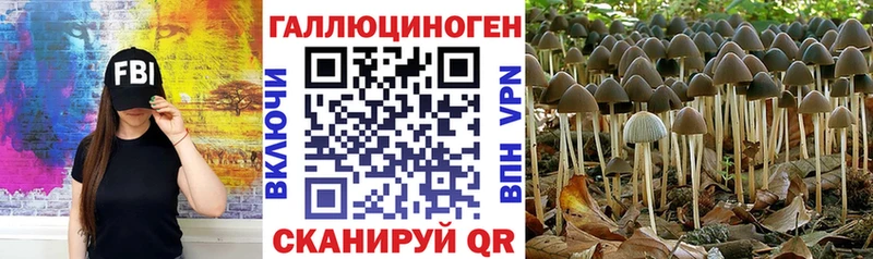 Галлюциногенные грибы ЛСД сколько стоит кракен зеркало Еманжелинск